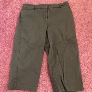 Briggs New York size 12P Capris, green stretchy